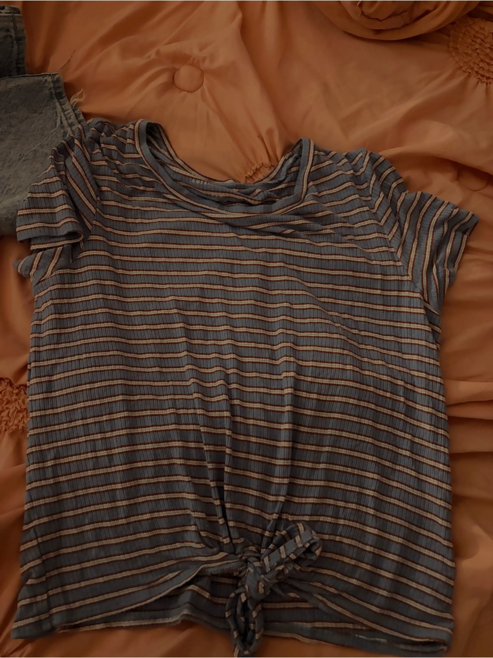 American Eagle Outfitters Blue and Tan Striped Tie-Front Crop Top